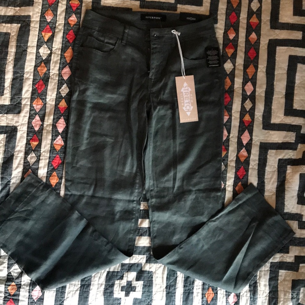 Liverpool Wide Leg Linen Pants in Green